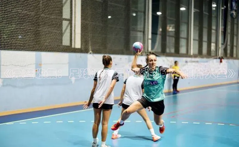 恒盛平台登录壹网壹创《完整收集：足球运动员门将的所有照片大全》