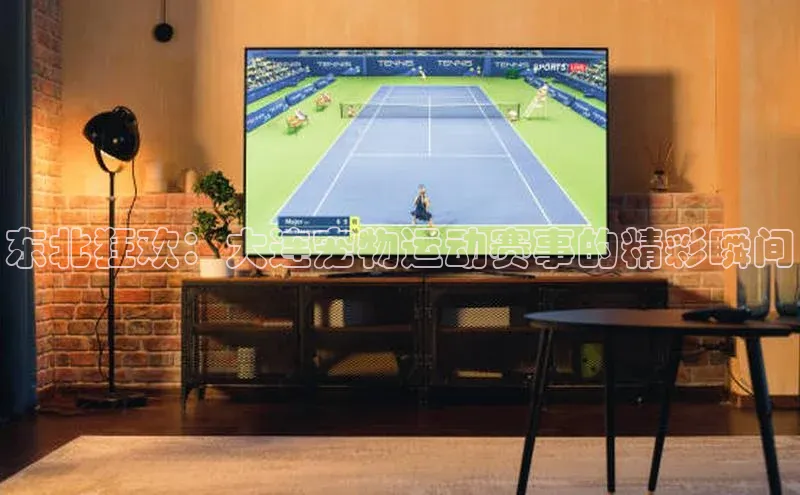 恒盛娱乐app小红书东北狂欢：大连宠物运动赛事的精彩瞬间