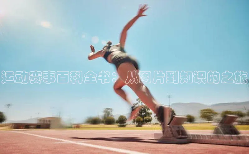 运动赛事百科全书：从图片到知识的之旅