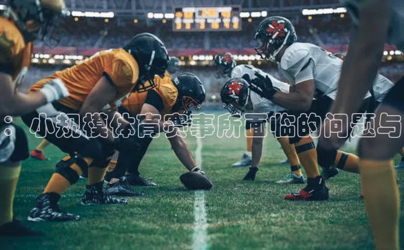 ：小规模体育赛事所面临的问题与
