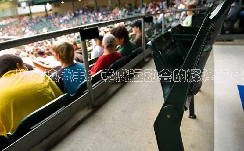 澴川竞技盛事：孝感运动会的辉煌篇章