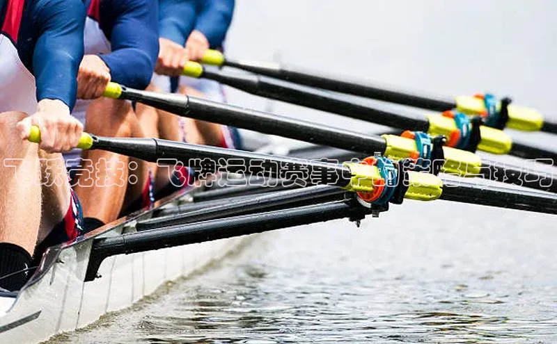 恒盛平台登录入口网站